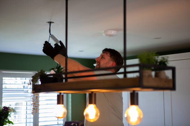 Best Electric Panel Repair  in Oregon, IL